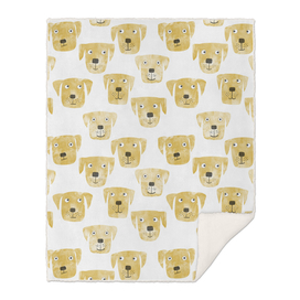 Golden Labrador Retriever Dogs