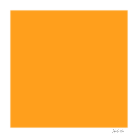 Dark Tangerine | Beautiful Solid Interior Design Colors
