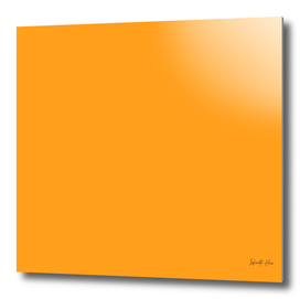 Dark Tangerine | Beautiful Solid Interior Design Colors