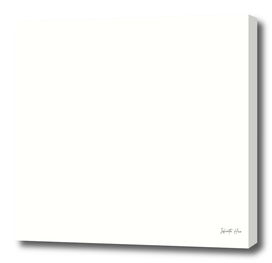 Ivory | Beautiful Solid Interior Design Colors