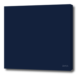 Midnight Express | Beautiful Solid Interior Design Colors