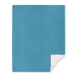 Boston Blue | Beautiful Solid Interior Design Colors