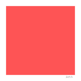 Radical Red | Beautiful Solid Interior Design Colors