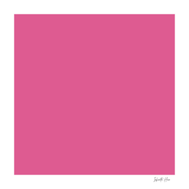 Dark Pink | Beautiful Solid Interior Design Colors