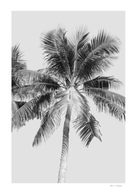 Palm Tree Cali Summer Vibes #2 #tropical #wall #art