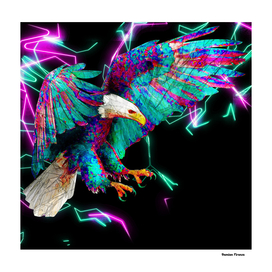 Eagle Animals nature Colored Neon Electric Street Art