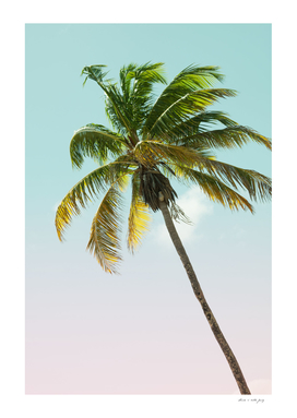 Tropical Palm Tree Cali Finesse #1 #tropical #wall #art