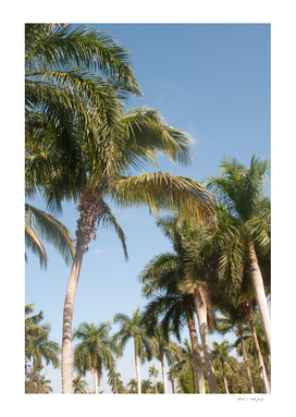 Floridian Palm Tree Vibes #1 #tropical #wall #decor #art