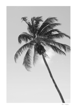 Tropical Palm Tree Cali Finesse #2 #tropical #wall #art