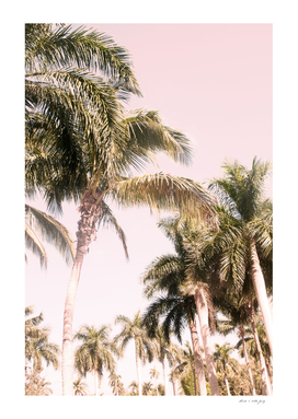Floridian Palm Tree Vibes #2 #tropical #wall #decor #art