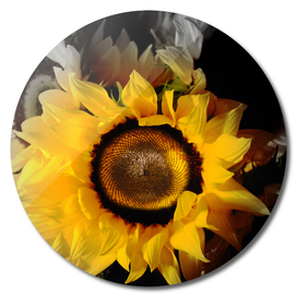 Sunflowers Fade