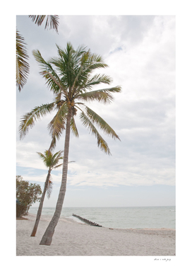 Palm Trees Beach Dream #1 #tropical #wall #decor #art