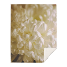 White Flower Satin Petals