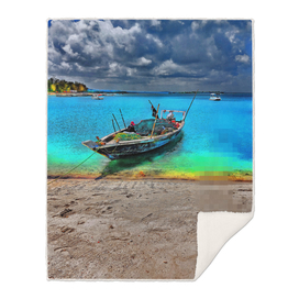 Fishing Net. Zanzibar Archipelago.