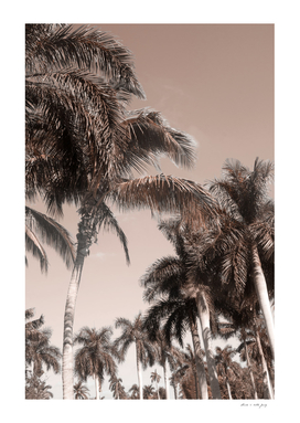 Floridian Palm Tree Vibes #3 #tropical #wall #decor #art