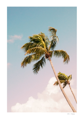 Floridian Palm Trees Finesse #1 #tropical #wall #decor #art
