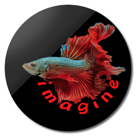 Imagine Fighter Fish Black