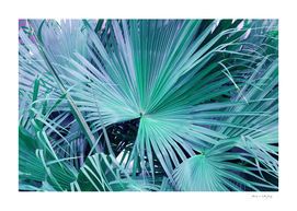 Fan Palm Leaves Jungle Dream #1 #tropical #wall #decor #art