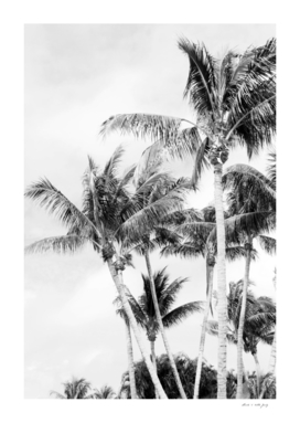 Palm Trees Finesse #2 #tropical #wall #decor #art
