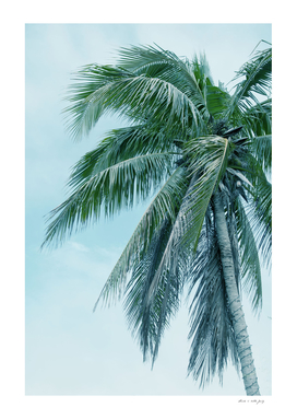 Tropical Palm Finesse #1 #tropical #wall #decor #art