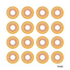 Orange Circles Abstract Modern Geometric Art Pattern