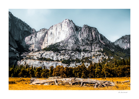 Mountains with dry field and pine tree view at Yosemite