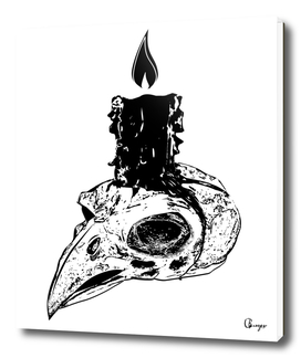 skull-candle