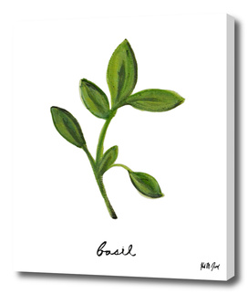 Herbs No.2 Basil