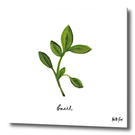 Herbs No.2 Basil