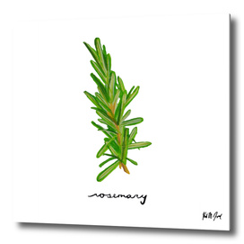 Herbs No.3 Rosemary