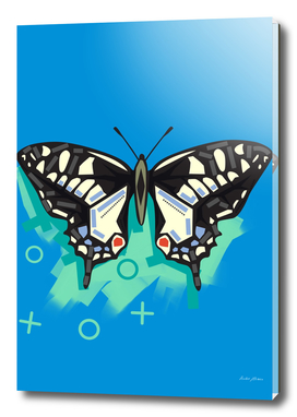 Butterfly in blue background