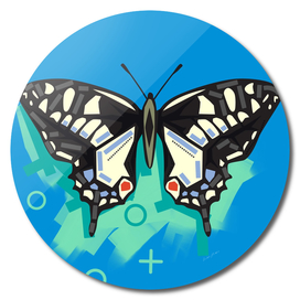 Butterfly in blue background
