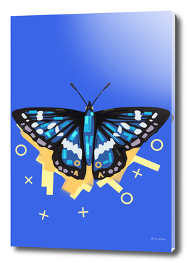 Blue butterfly in blue background