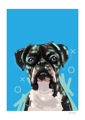 Dog Pop art portrait in blue background
