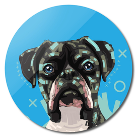 Dog Pop art portrait in blue background