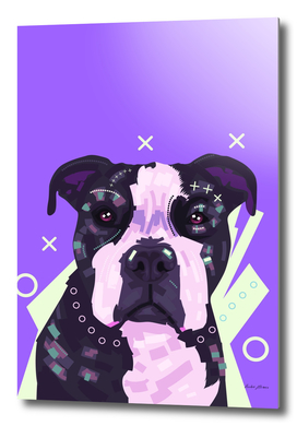 Dog Pop art Potrait in purple background