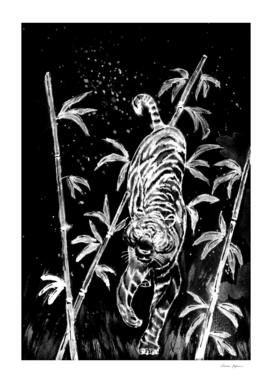 Black and White Tiger and Bamboo