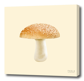 Mc Mushroom