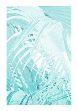 Soft Turquoise Fan Palm Leaf #1 #tropical #wall #decor #art