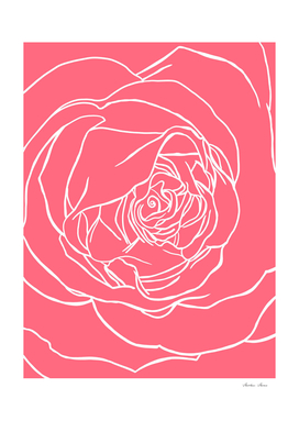 Macro Rose line Art