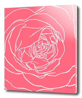 Macro Rose line Art