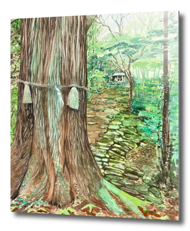 Shimenawa, sacred rope around tree