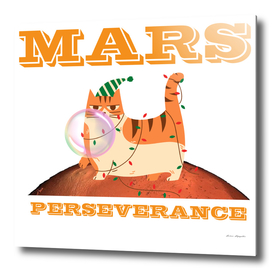 Cat on Planet Mars Perseverance Rover