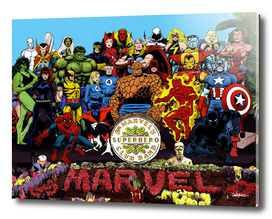 Sgt Marvels Superhero Club Band