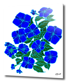 Blue Violets #6