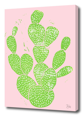 Cacti Minty Pinky