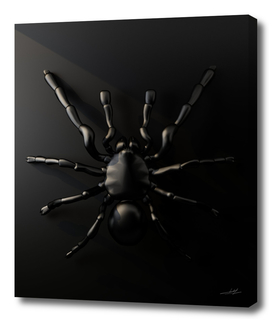 black spider