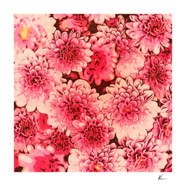 Floral | Pink Flowers | Floral Art