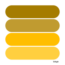 70s color palette - gold retro color scheme oval