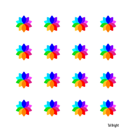 Color wheel colorful flower
